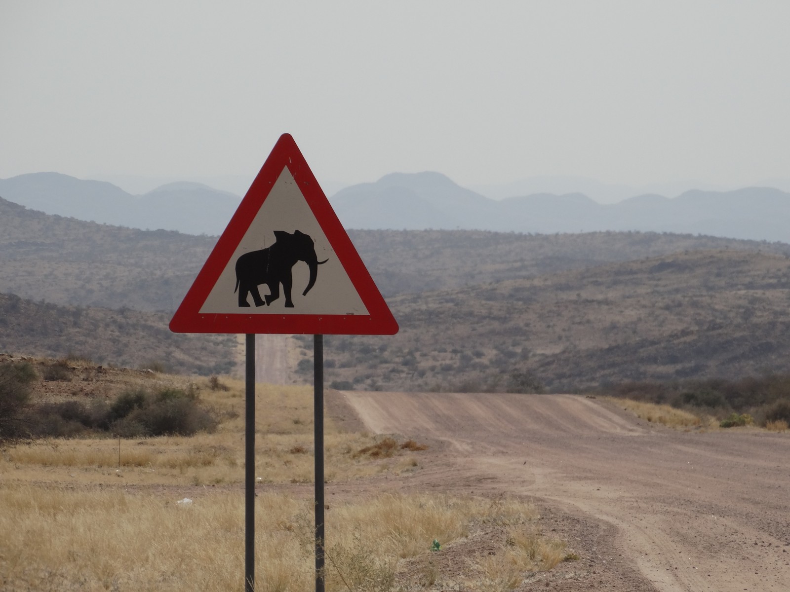Elephant warning sign on the C39 near Khorixas, photographed in 2014. Does not imply a sighting.