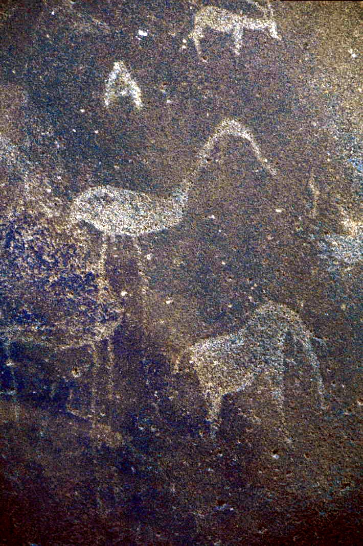Twyfelfontein petroglyphs. Small portrait support only; no upscaling for hero or large print.