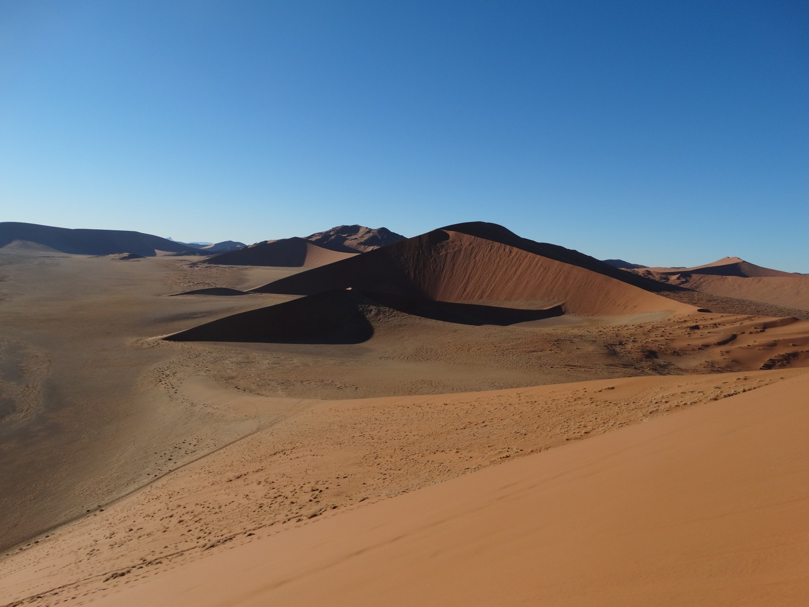 Namib dunes near Sossusvlei. Historic photograph; does not represent today's conditions.