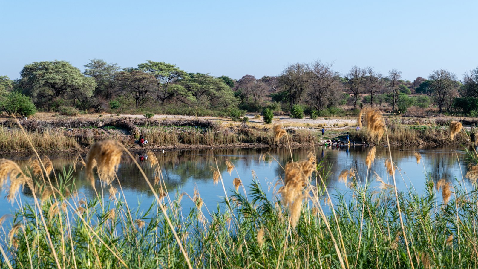 The Okavango River in Namibia, photographed in 2021.