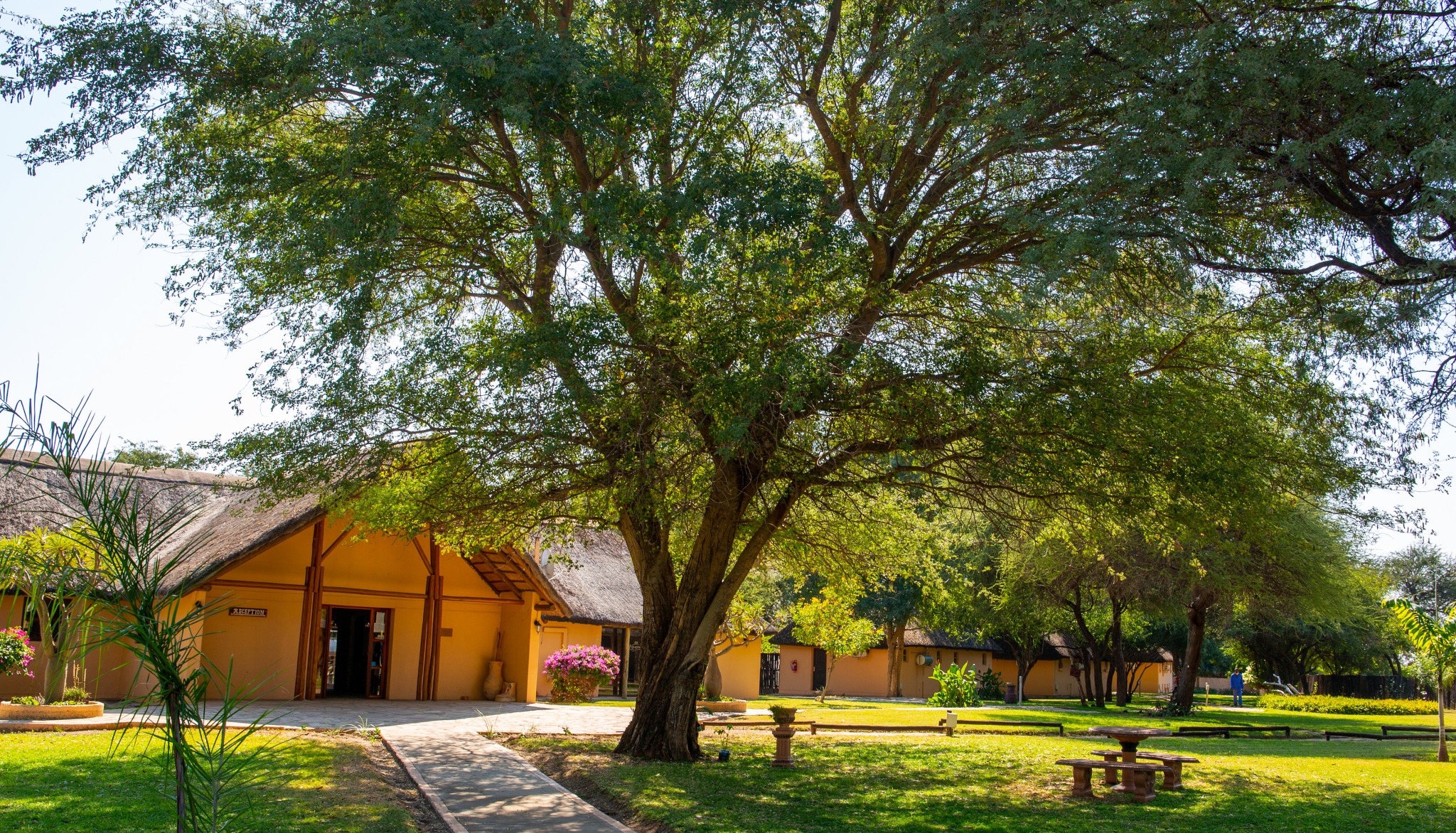 Tree-lined entrance and lodge grounds at Kayova River Lodge