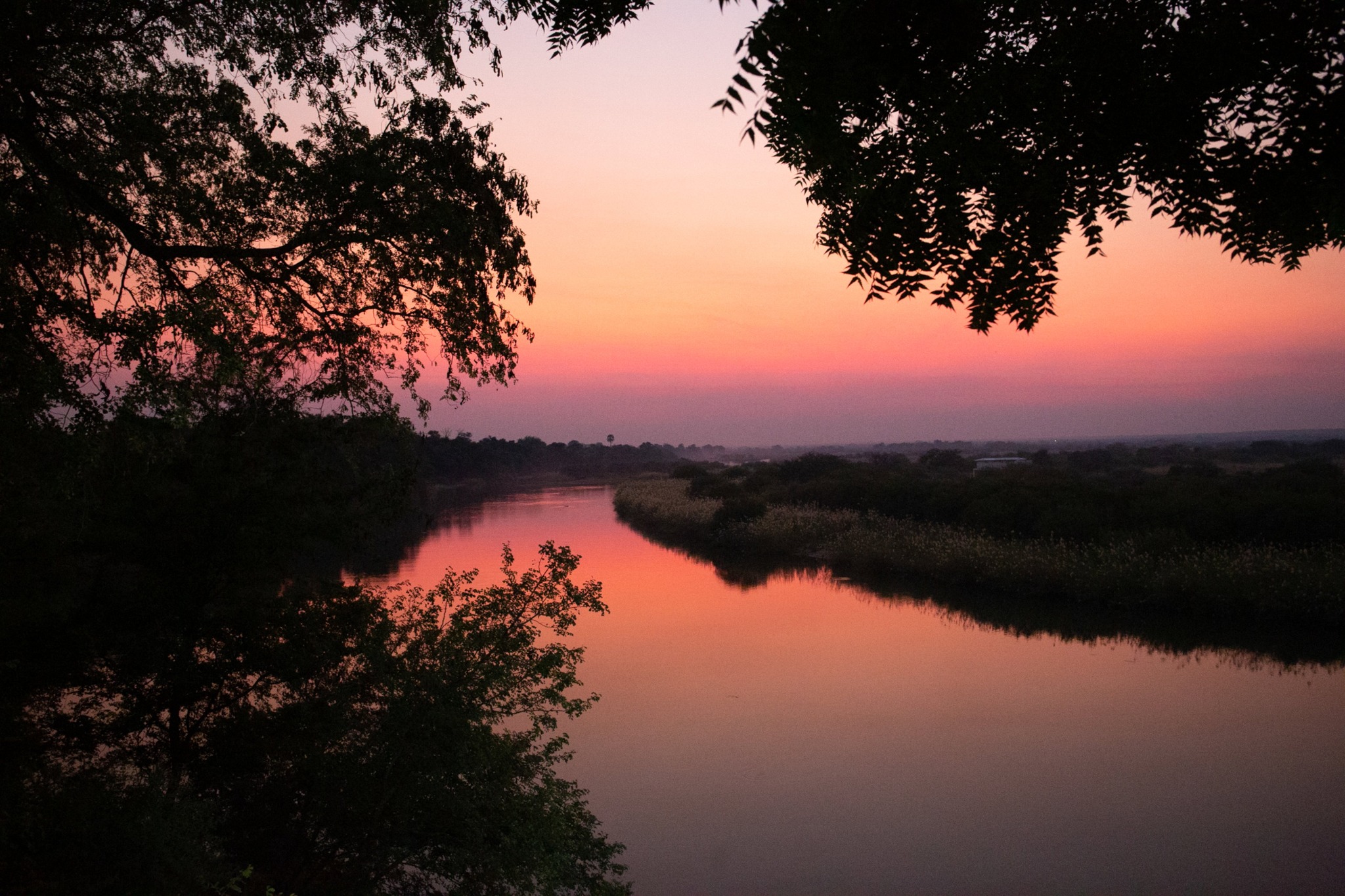 Pink evening sky over the Okavango River